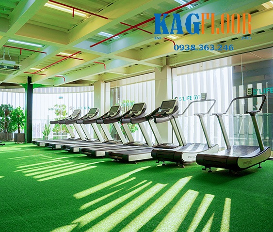 san-phong-gym (4).jpg (142 KB)
